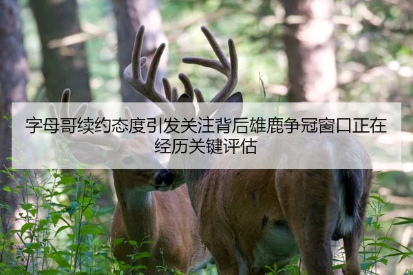 字母哥续约态度引发关注背后雄鹿争冠窗口正在经历关键评估